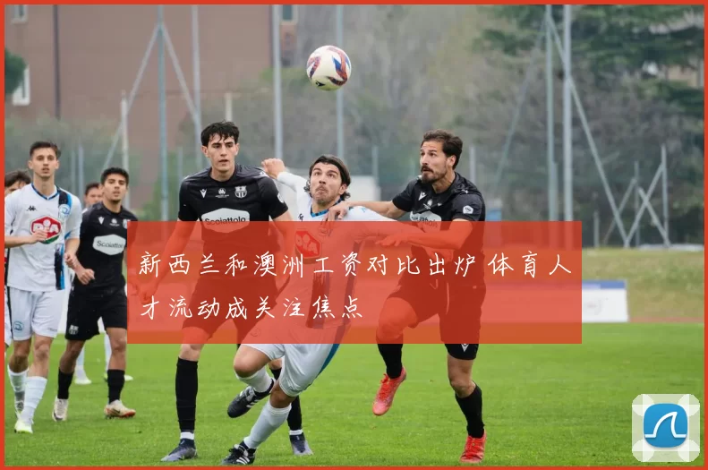 新西兰和澳洲工资对比出炉 体育人才流动成关注焦点