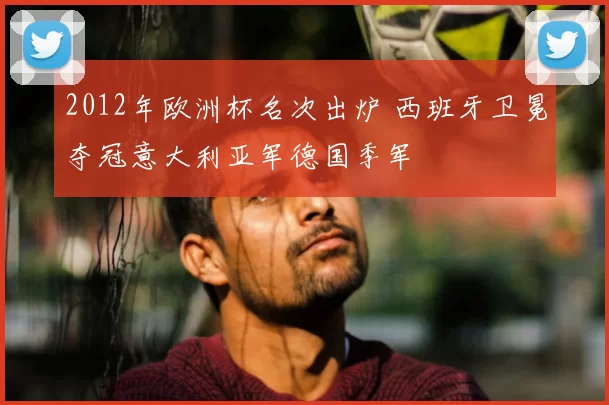 2012年欧洲杯名次出炉 西班牙卫冕夺冠意大利亚军德国季军